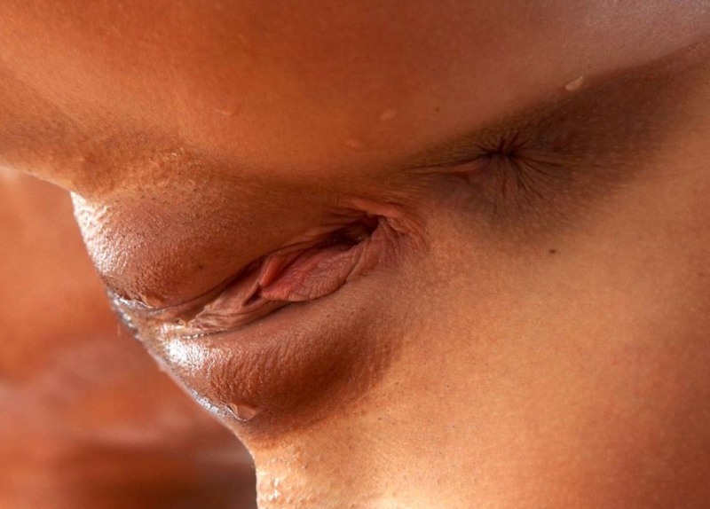 Lesbian lick pussies close -up