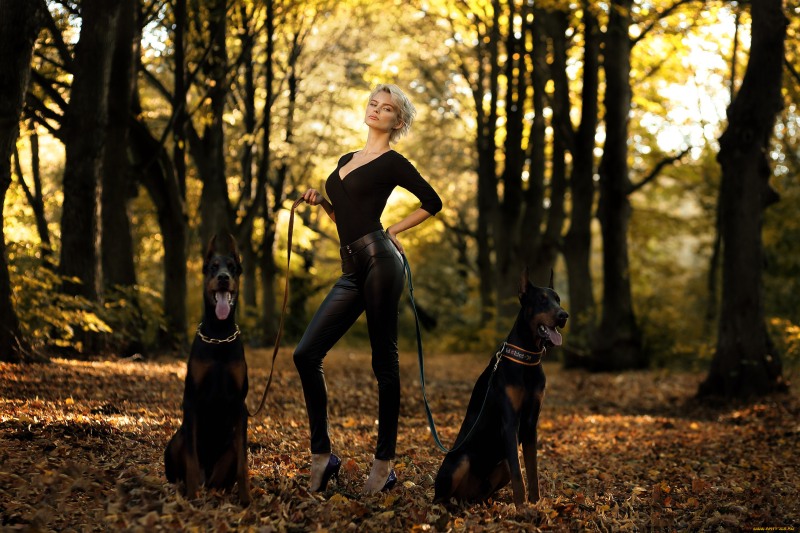 Sexy beauty on your desktop