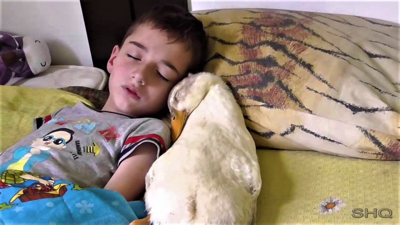 Boys casting in nature