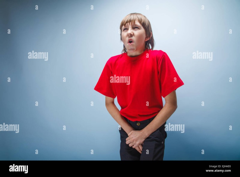 SG912900N porcelain tile colliano gray light