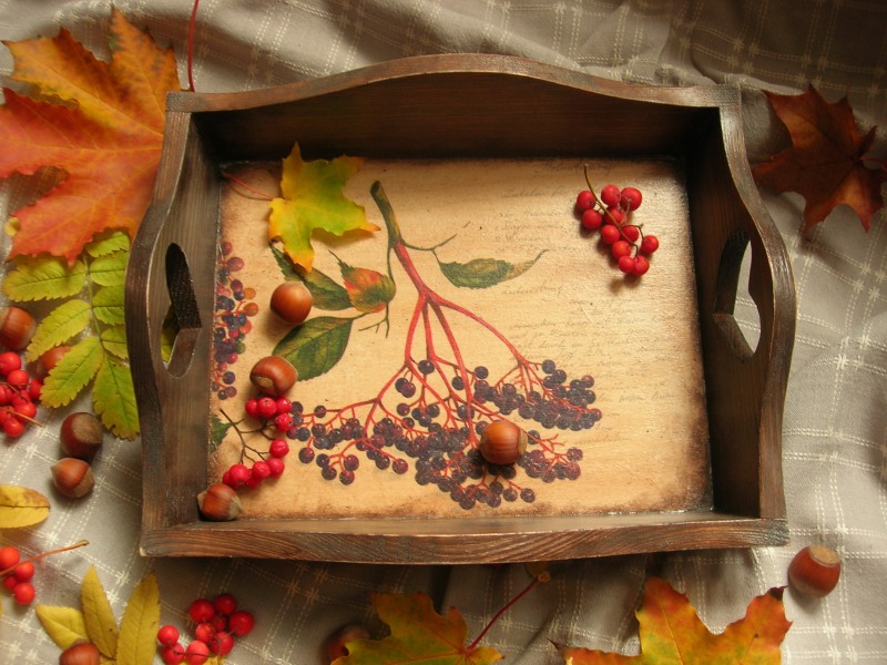 Anastasia Danilova Maxim