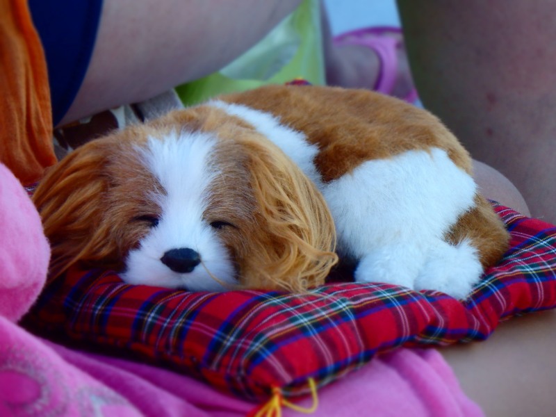 Alex Bronko Lara Frost