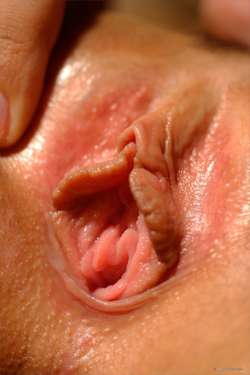 Beautiful female vaginas