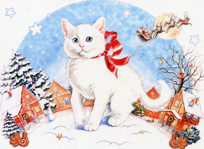 WaE19000 Color One 15x15