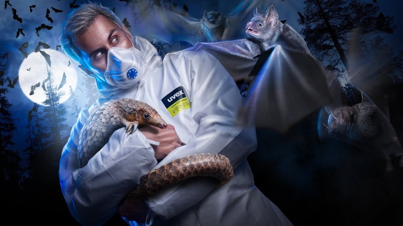 "Headless Body in Toples Bar" New York Post