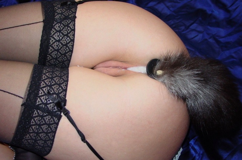 The girl stuck a cat's tail in a hole