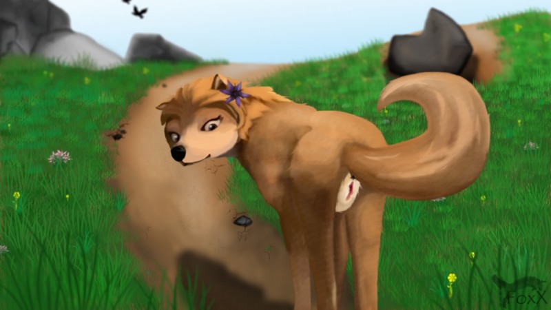 Furry Hentai Alpha and Omega