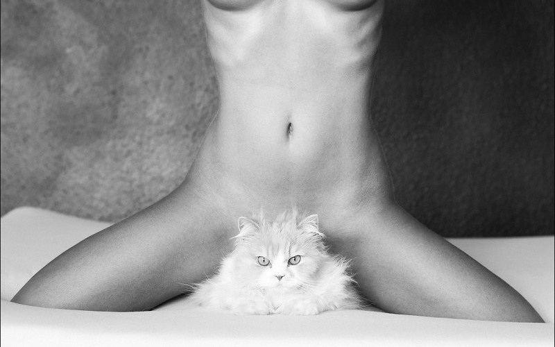 Beautiful girls with beautiful pussies