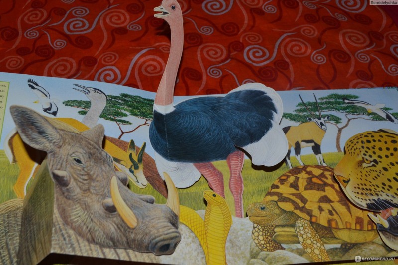 My great summer with Sophie Film 2019