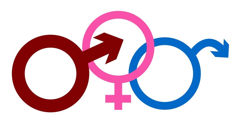 Husband spying on the betrayal of his wife