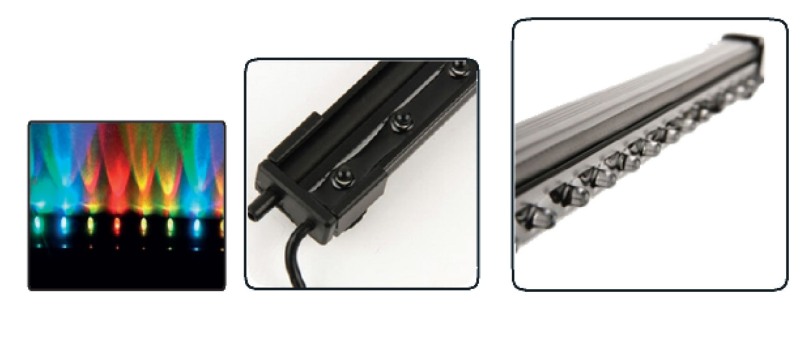 Olga Ivanova and son