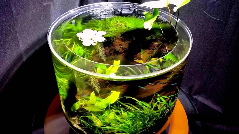 The teenager was killed by brief