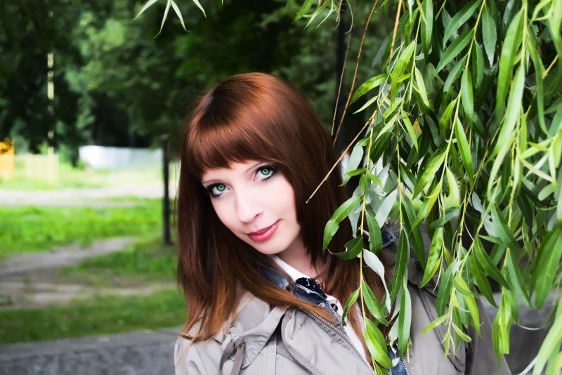 Ivan Tsarevich and the Gray Wolf Ivan and Vasilisa