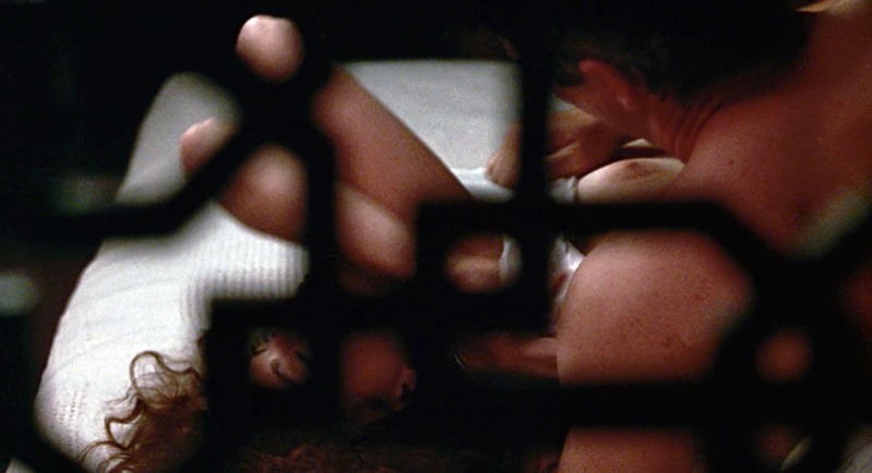 Julia Roberts Pornography