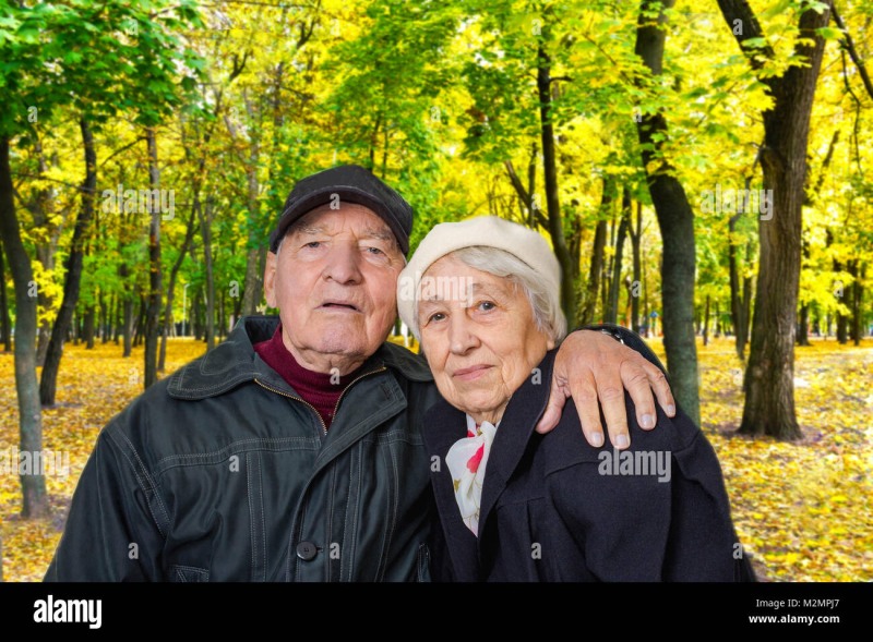 Karakulino estate Vedernikov