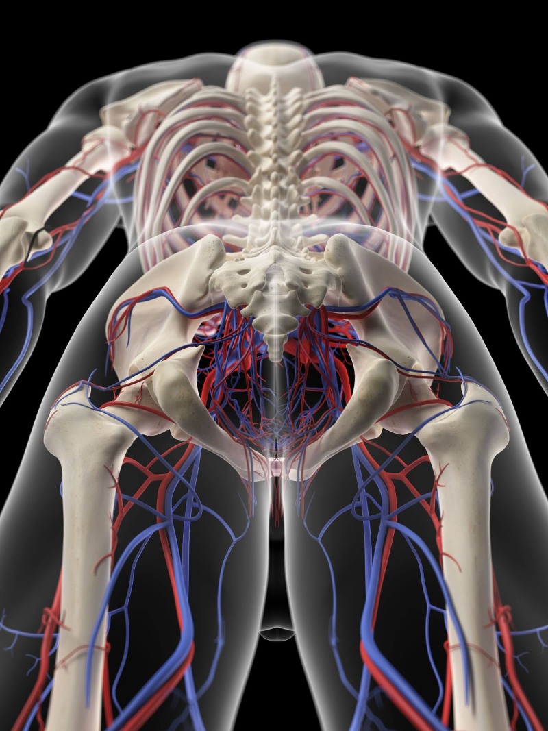 The shape of cucumber cuts