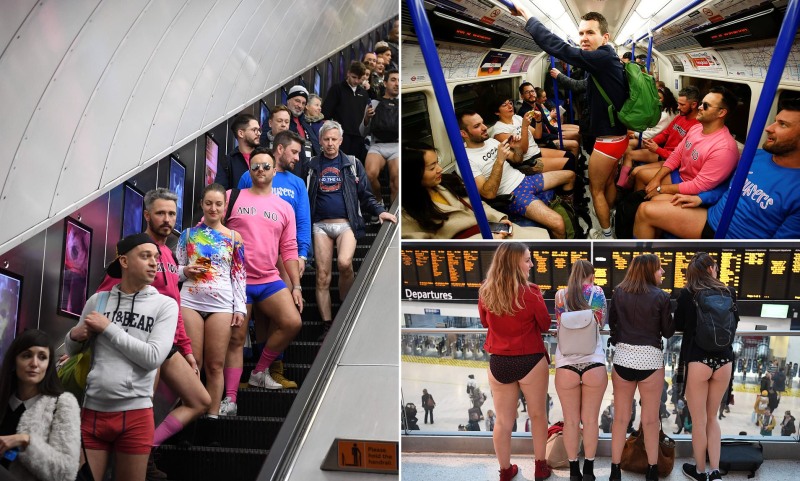 Camel hoof in the camp