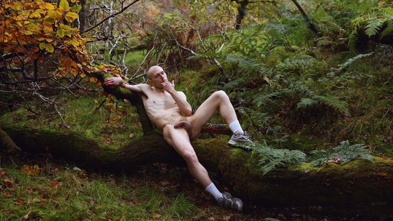 Sex Young Outdoors in the Woods pictures