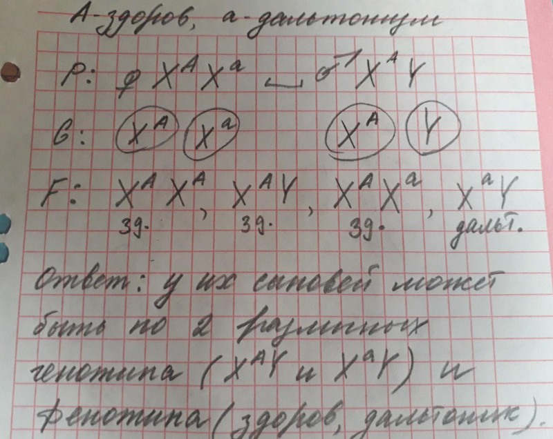 Downloadime in the Subway