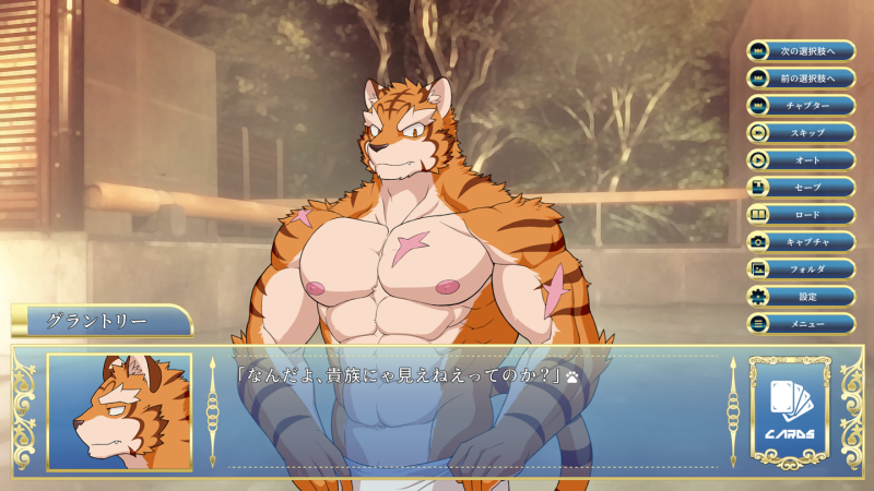 Visual novels Yaoi Furri