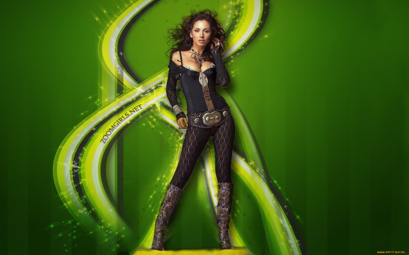 BPW 295x430 shock absorber