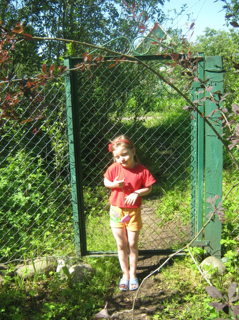 Dmitrieva Valeria Sergeevna St