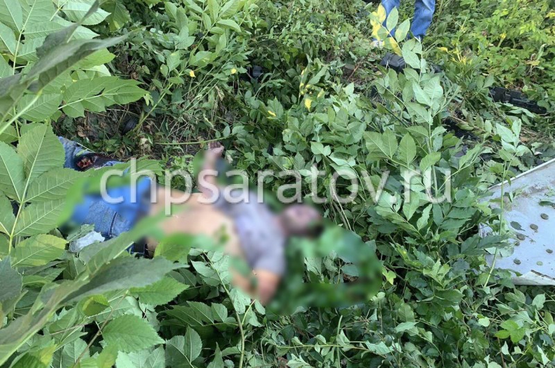 Anya Dmitrieva Piper Berylq