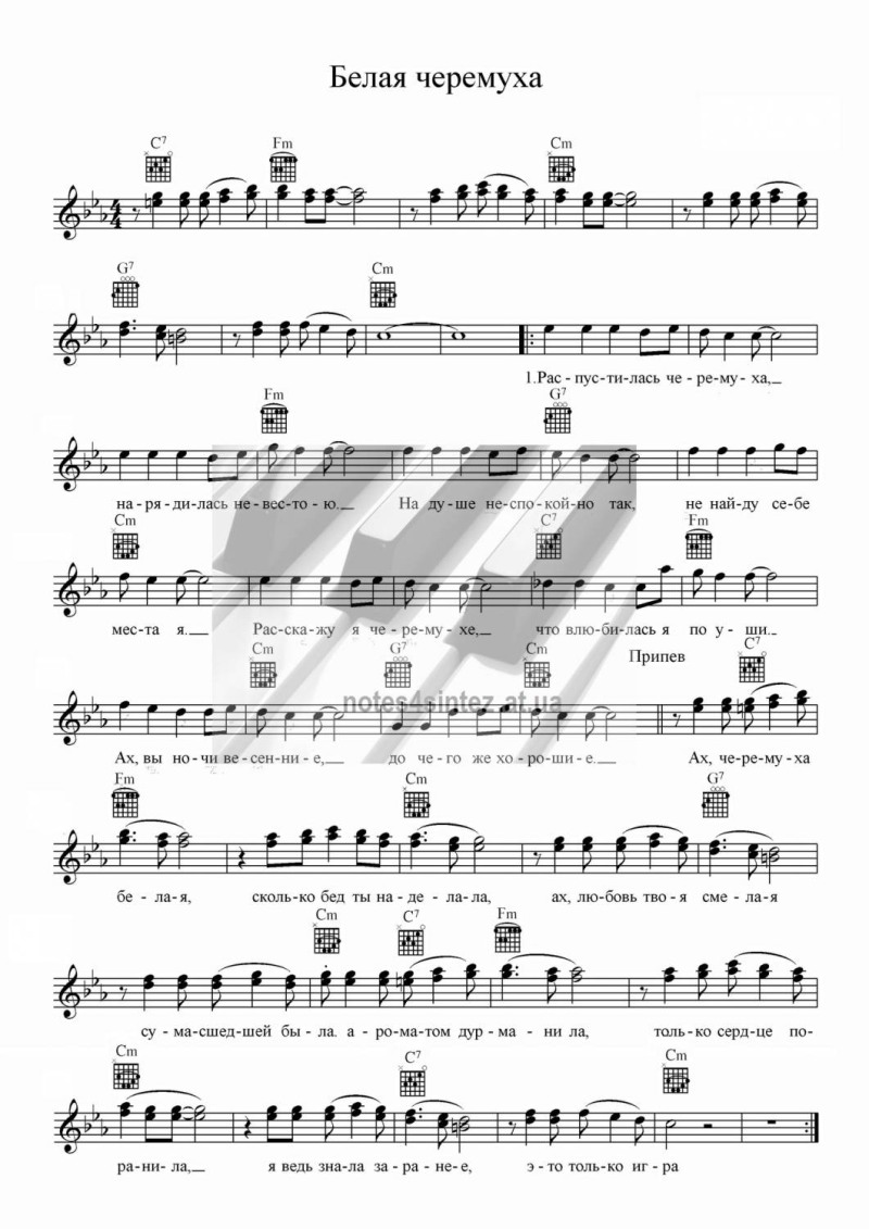 Olga Zhuravleva legs