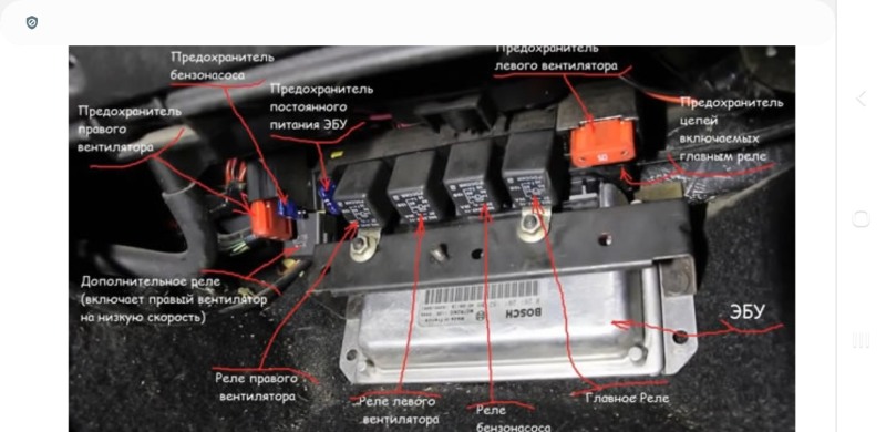 Reference Perspective of a person from below