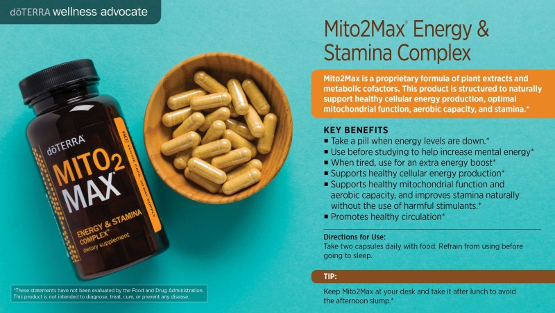 Yoga girls in leggings