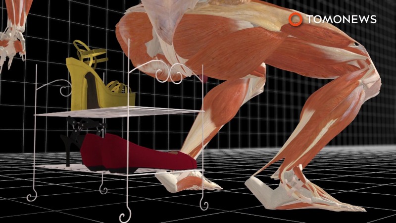 Batgers Barbara Gordon Ass BDSM