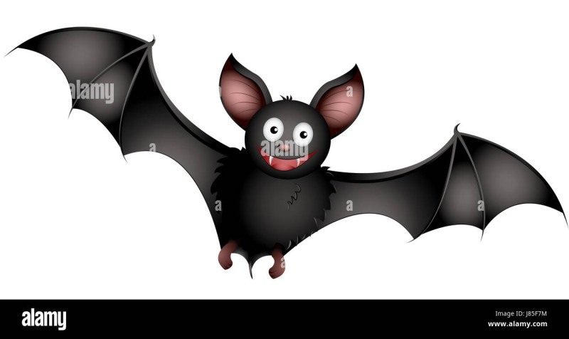 Kendra Last in the ANAL gym