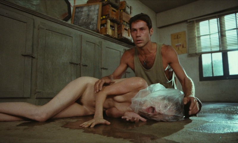 Jane Mallori Birkin Nude