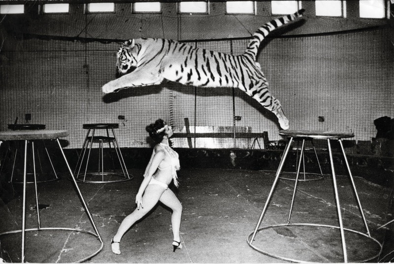 Naked circus Beibi fnaf hentai