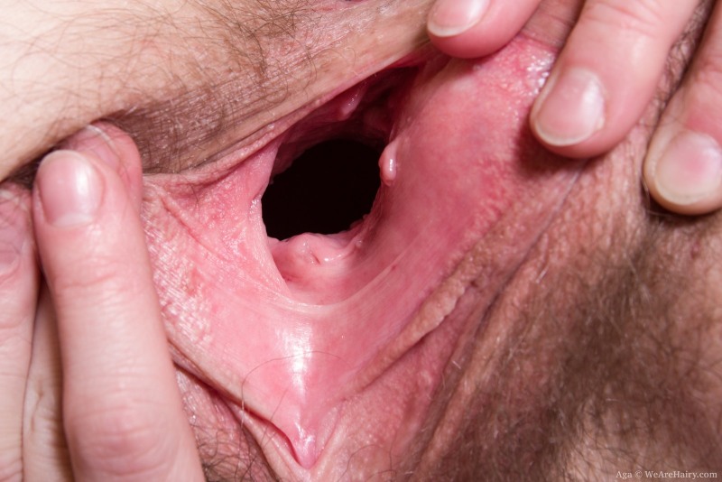 Women's vagina from the inside