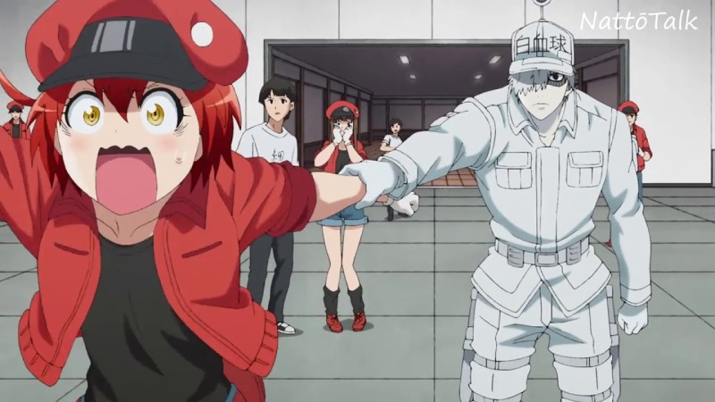 Cells at the work of Hataraku saibou