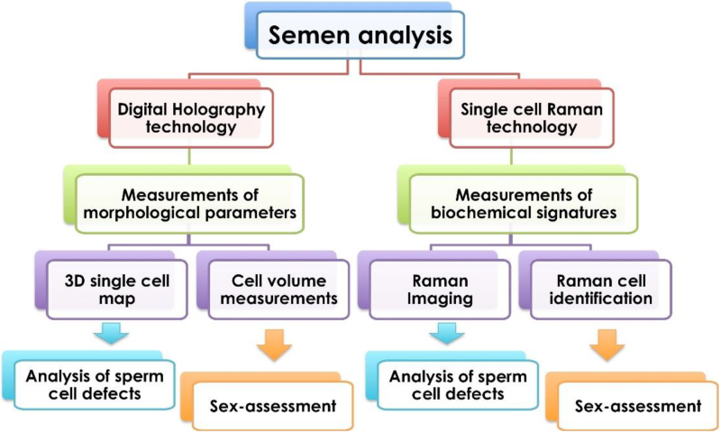 Classes on a transparent background
