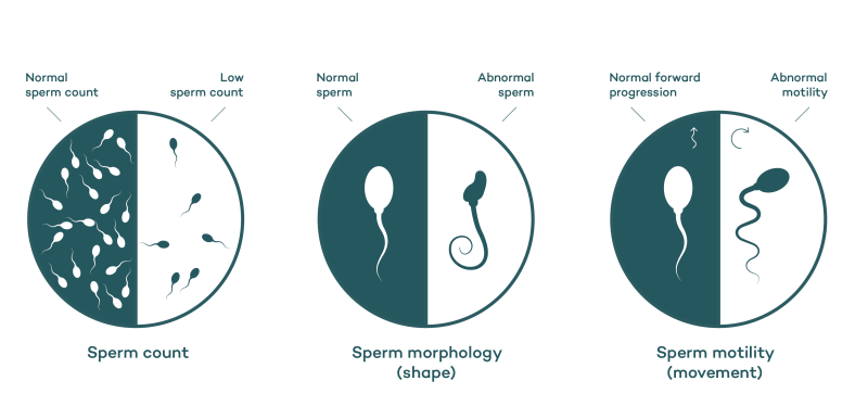 Match the Words Tasks