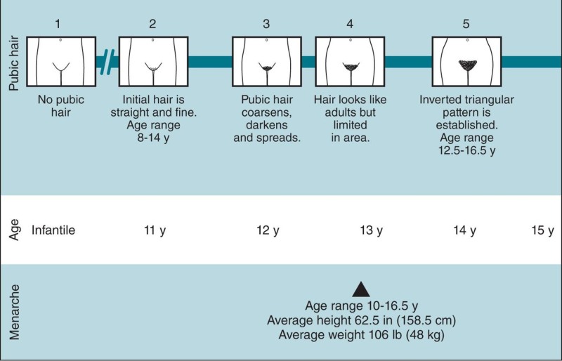 The Black Tape Project (Miami Swim Week 2019)