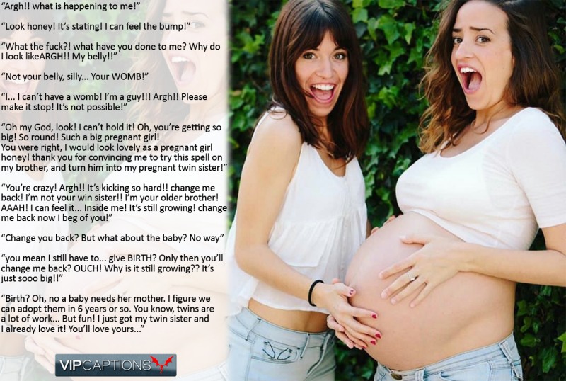 The resume of the developer