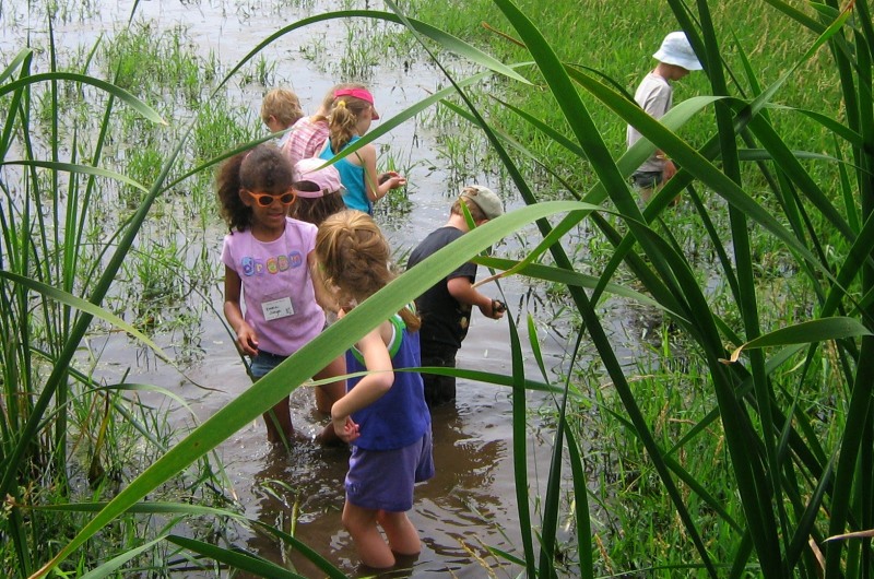 Mackenzie Dern Bikini