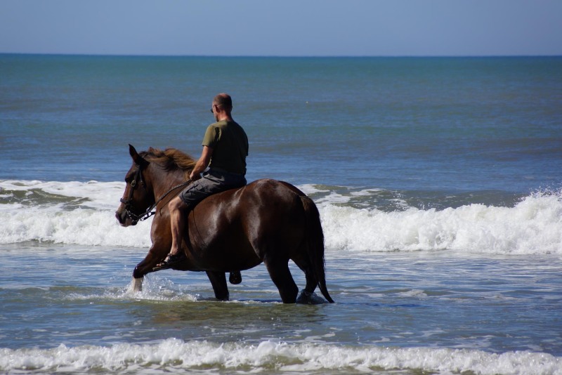 Russianbare Miss Neturist freedom