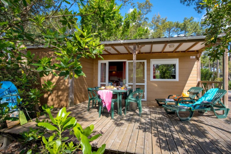 Little Miss Purenudism