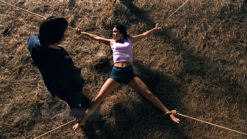 Transformers and Hentai Man