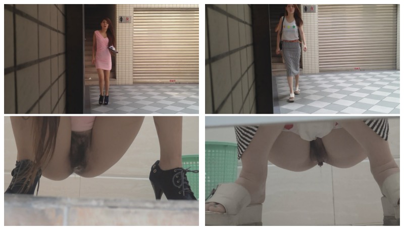 Hidden-Zone Full collection