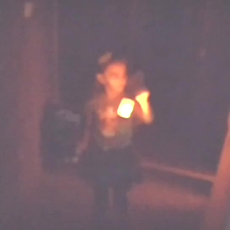 Microwave Panasonic NN SD366W Scheme