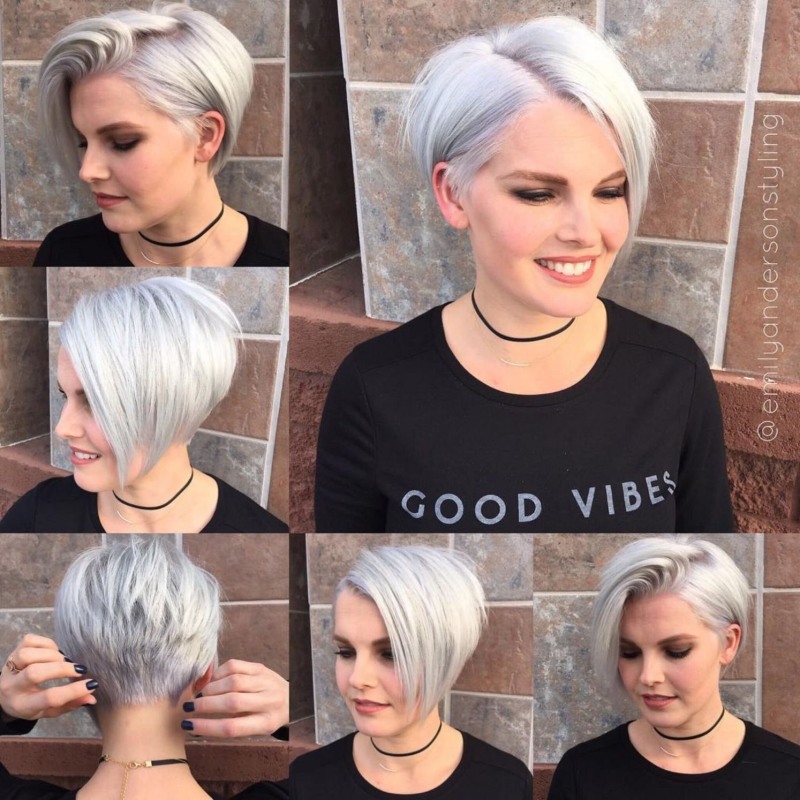 Pixie-bob with shaved temples