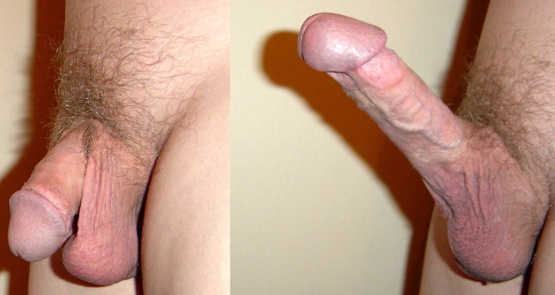 Male penis without erection
