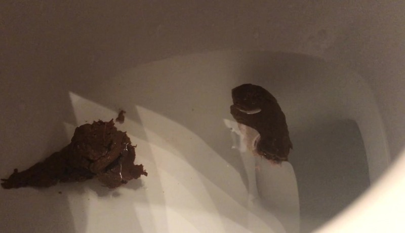 Online Learning Pros and Cons