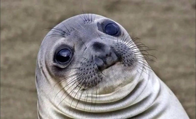 Skinny mature pornstars